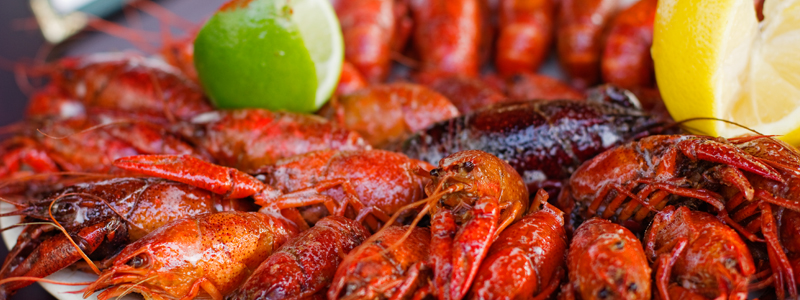 Crawfish product photography by Square 205